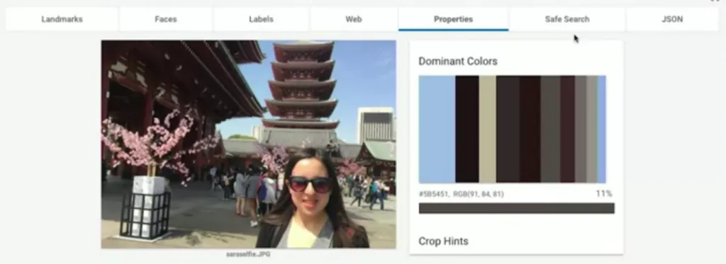 【Google ML】12 - Lesson 9 - google圖片辨識(Vision), 影片辨識(Video), 語音辨識, 語言翻譯, 自然語言辨識(NL) API功能總整理